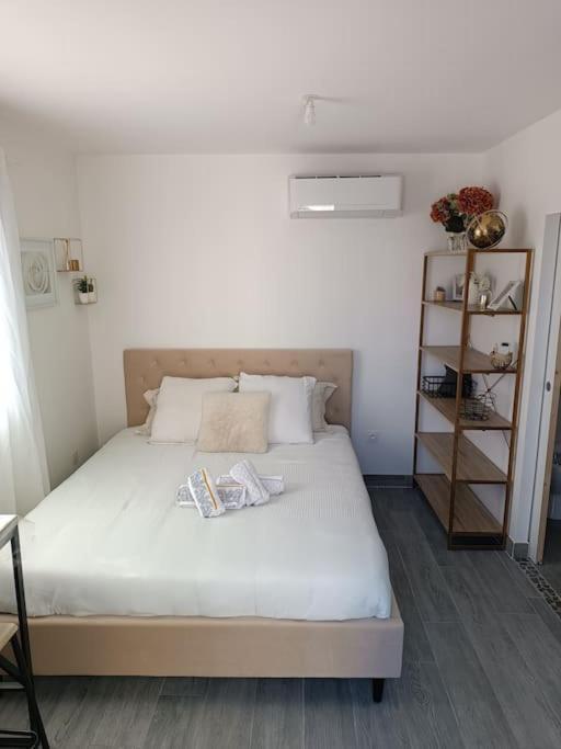 Villemoustaussou Charmant Studio Avec Piscine מראה חיצוני תמונה